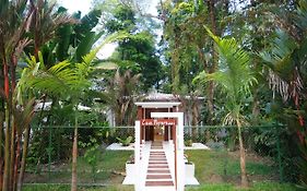 Gigi Brown Villa Paparazzi Beachfront