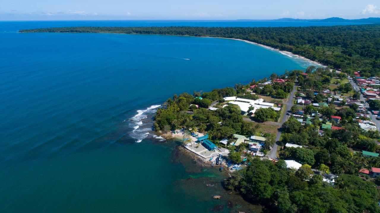Gigi Brown Villa Paparazzi Beachfront Puerto Viejo de Talamanca Exterior photo
