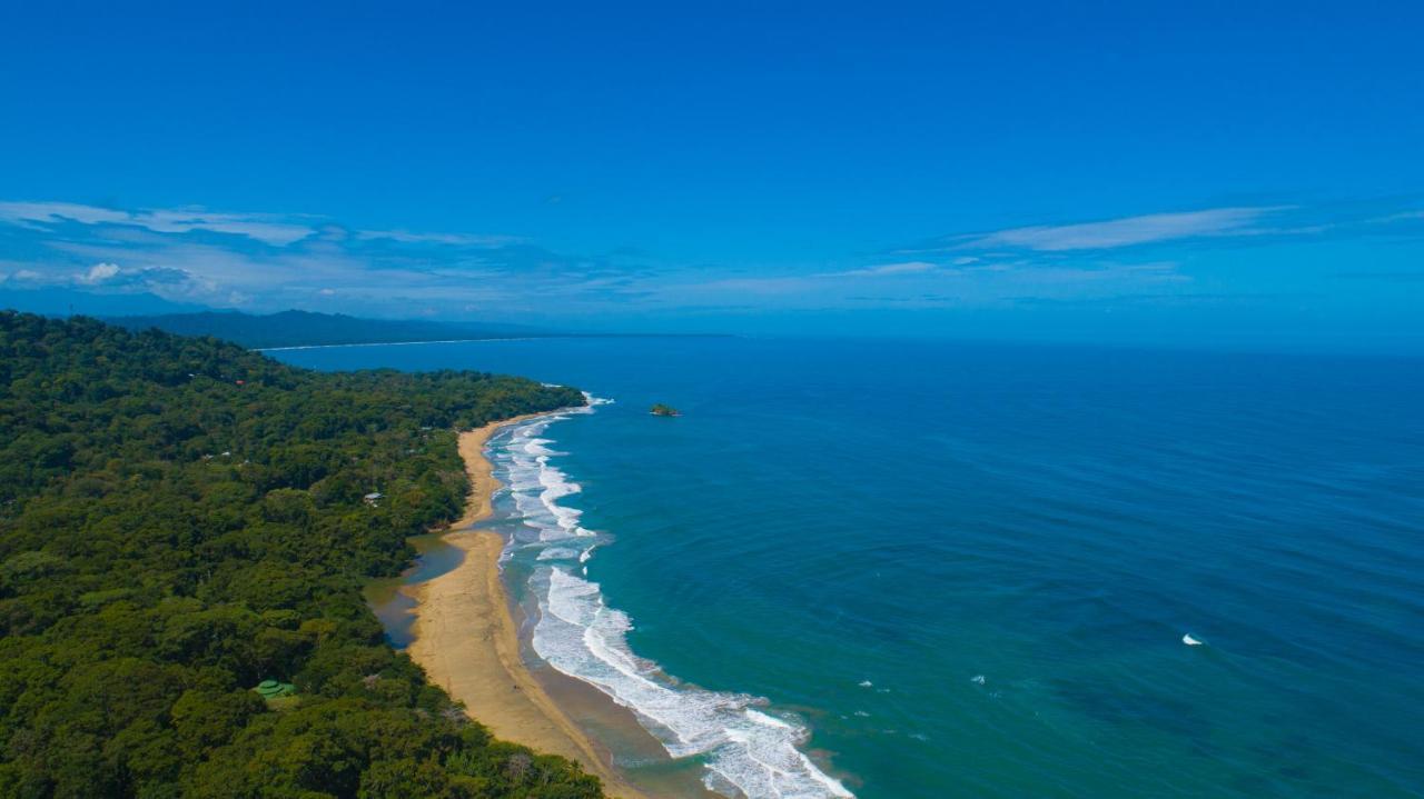 Gigi Brown Villa Paparazzi Beachfront Puerto Viejo de Talamanca Exterior photo